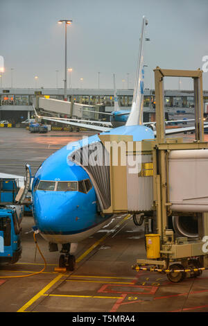 Eine Boeing 737 an einem nebligen Morgen am Flughafen Amsterdam Schiphol. Verschiedene Kurzstrecke Flugzeuge warten auf Abstand zu gehen. Stockfoto