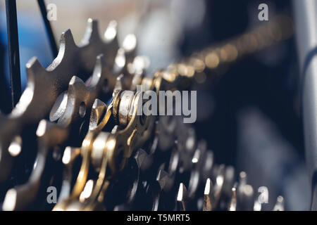 Hinteren Zahnrad für sechs High-speed Sport Fahrräder Stockfoto