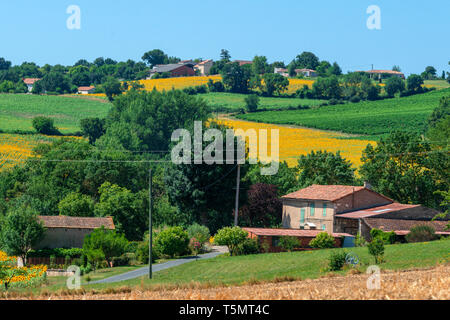 Eine jeden Tag ländliche Szene im Südwesten Frankreichs. Sonnenblumen, Raps, Getreide und landwirtschaftlichen Gebäuden. In der Nähe von Gaillac, Royal, Frankreich. Stockfoto