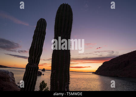 Sonnenuntergang, Espiritu Santo, Baja California Sur, Mexiko. Stockfoto