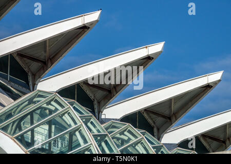 Valencia Stadt der Künste und Wissenschaften, Calatrava futuristisches Detail Valencia Spanien Stadt Moderne Architektur blauer Himmel Valencia Museum Ansicht Gebäude Stockfoto