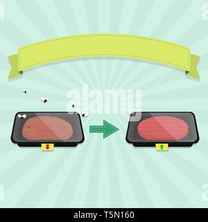 Verdorbenes Fleisch burger Fach mit Fliegen und frische Burger Fleisch Fach leer Farbband für Text einfügen. Stock Vektor