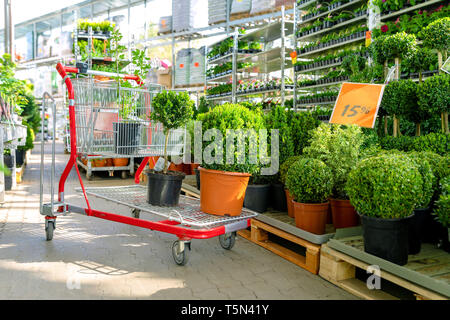 Shopping Cart mit Pflanzen im Ziergarten Pflanzen speichern Stockfoto