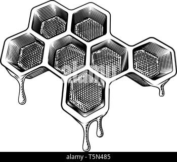 Biene Waben mit Honig tropft Vintage Style Stock Vektor