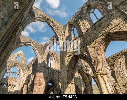 Die restaurierten Ruinen von Tintern Abbey, Monmouthshire, Wales, Großbritannien Stockfoto