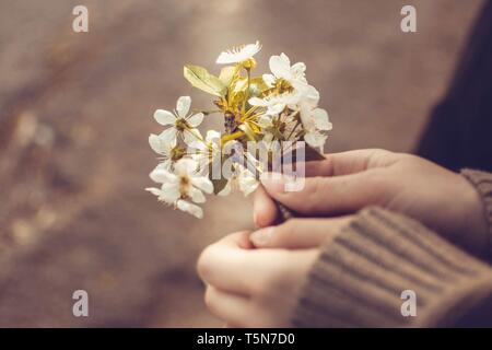 Mädchen hält in der Hand spring blossom Zweig Stockfoto