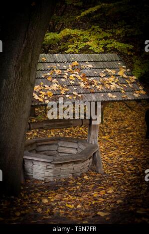 Holz- zeichnen - gut im Herbst Tag mit Blättern auf dem Dach Stockfoto