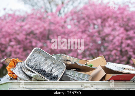 The Meadows, Edinburgh, Cherry Blossom, Einweg-BBQ, bin, überfüllt Stockfoto