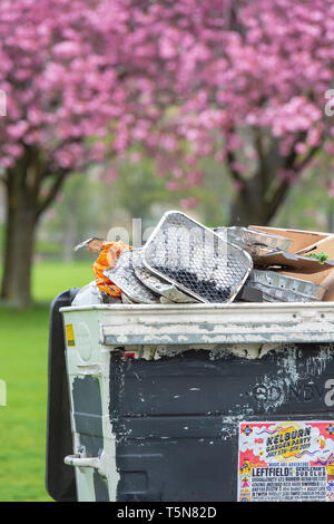 The Meadows, Edinburgh, Cherry Blossom, Einweg-BBQ, bin, überfüllt Stockfoto