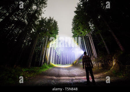 Rückansicht der Mann mit der Taschenlampe auf waldboden Straße unter hohen hell beleuchteten Bäume unter schönen Dunkelblauen Himmel Fichten. Nacht Stockfoto