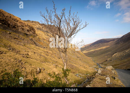 Die honister Pass im Nationalpark Lake District, Cumbria England Großbritannien Stockfoto