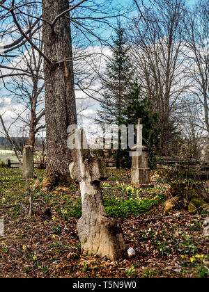 Alte steinerne Kreuze auf einem vergessenen Friedhof der Beniowa ehemaliges Dorf im Bieszczady-gebirge, Polen Stockfoto