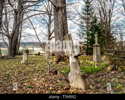 Alte steinerne Kreuze auf einem vergessenen Friedhof der Beniowa ehemaliges Dorf im Bieszczady-gebirge, Polen Stockfoto