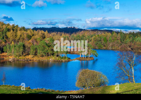 Die Gebirgsseen, Tarn Hows in der Nähe von Coniston, Nationalpark Lake District, Cumbria, England, Vereinigtes Königreich, Europa. Stockfoto