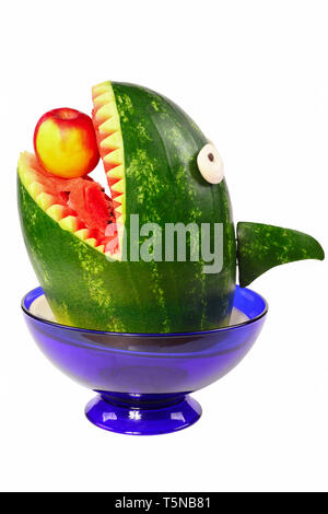 Wassermelone Hai, Hai geschnitzt aus einer Wassermelone. Stockfoto