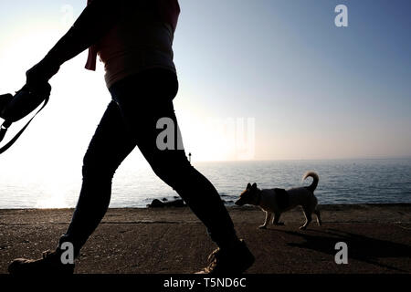 Ein Hund Walker zu Fuß entlang der Verkleidung Sea Wall Promenade zwischen Colwell und Totland Buchten mit dem Hund bleifrei nach hinten. Stockfoto