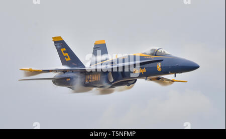 190424-N-UK 306-1043 Pensacola, Fla (24. April 2019) Lead solo Pilot Lt.Cmdr. Brandon Hempler, zu der US-Navy Flight Demonstration Squadron, die Blue Angels zugewiesen, führt die "Sneak Pass"-Manöver während einer Praxis Demonstration am Naval Air Station (NAS) Pensacola. Das Team wird voraussichtlich 61 Flugvorführungen an 32 Standorten im Land der Stolz und die Professionalität der US Navy und Marine Corps zur Schau zu stellen, die amerikanische Öffentlichkeit auf die im Jahr 2019 durchzuführen. (U.S. Marine Foto von Mass Communication Specialist 2. Klasse Timothy Schumaker/Freigegeben) Stockfoto