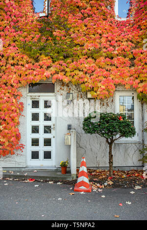 Ein Gebäude mit Efeu in Abashiri, Hokkaido, Japan abgedeckt Stockfoto