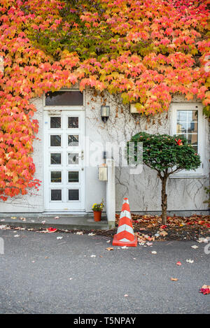 Ein Gebäude mit Efeu in Abashiri, Hokkaido, Japan abgedeckt Stockfoto