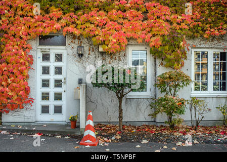 Ein Gebäude mit Efeu in Abashiri, Hokkaido, Japan abgedeckt Stockfoto