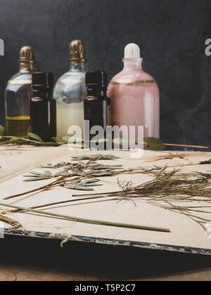 Aroma Essential Oil. Kosmetische Flasche unter getrocknete Blumen, Heilpflanzen Auswahl. Natürliche Kosmetik und Hautpflege, pflanzliche Mischung Stockfoto