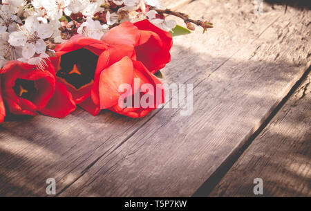 Strauß mit weißen Aprikosen Blumen Tulpen auf dem Hintergrund der alten, hölzernen Brettern. Für Text platzieren. Das Konzept der Frühling ist gekommen. Stockfoto