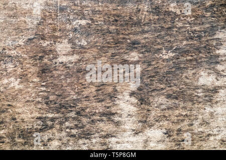 Holz dunkel braune Oberfläche Textur Hintergrund Stockfoto