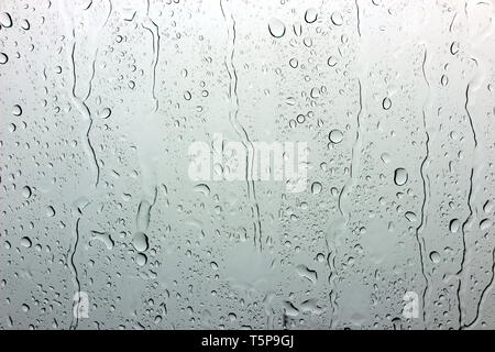 Eine kleine Regentropfen ruht auf das Glas nach Regen. Stockfoto