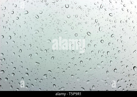 Eine kleine Regentropfen ruht auf das Glas nach Regen. Stockfoto