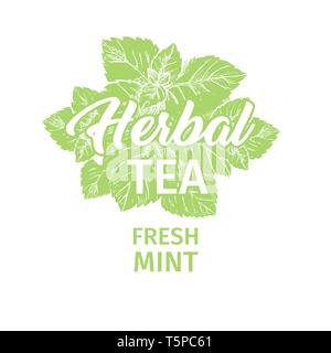Kräuter Tee mit frischer Minze Logo Vorlage. Isolierte Hand gezeichnet grüne Silhouette Aufkleber mit Pfefferminze. Spearmint Botanik Pflanze und Hand-Lettering Kalligraphie Inschrift. Botanische Design, Medizinische Thema. Stock Vektor