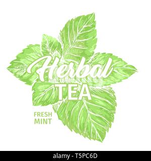 Kräuter Tee mit frischer Minze Logo Vorlage. Isolierte Hand gezeichnet Marker Malerei Label mit Pfefferminze. Spearmint Botanik Pflanze und Hand-Lettering Kalligraphie Inschrift. Botanische Design, Medizinische Thema. Stock Vektor