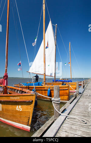 Auswanderer, alte hölzerne segeln Boote am Steg am Steinhuder Meer im Sommer/Steinhuder Meer, Mardorf, Niedersachsen/Niedersachsen, Deutschland Stockfoto