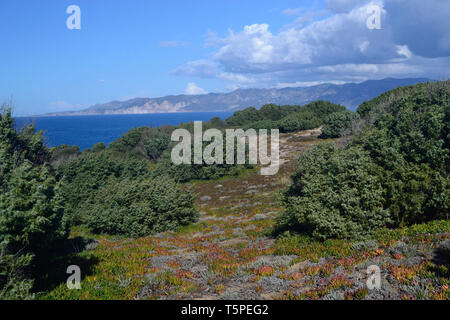 Blick auf die Küste von Capo Altano Stockfoto