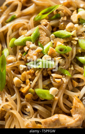 Hausgemachte Huhn Pad Thai mit Sojasprossen und Erdnüsse Stockfoto