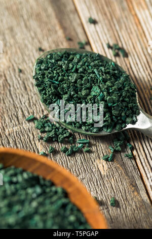 Raw Green Bio Algen Spirulina in eine Schüssel geben. Stockfoto