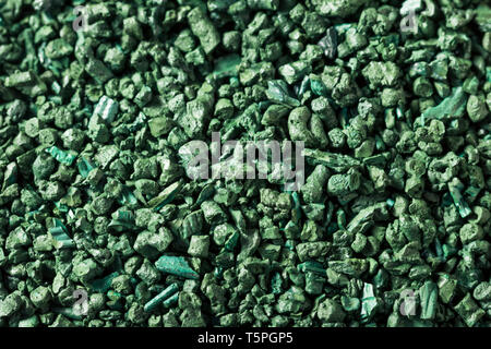 Raw Green Bio Algen Spirulina in eine Schüssel geben. Stockfoto