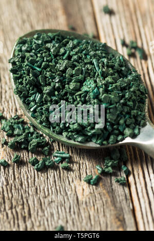 Raw Green Bio Algen Spirulina in eine Schüssel geben. Stockfoto