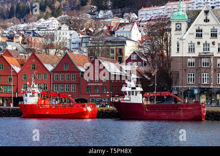 Spezielle Schiffe für das Sammeln von Seetang und Algen, m/s und Tareviking Sjoealg (Sjøalg). Auf Bryggen Kais im Hafen von Bergen, Norwegen. Stockfoto