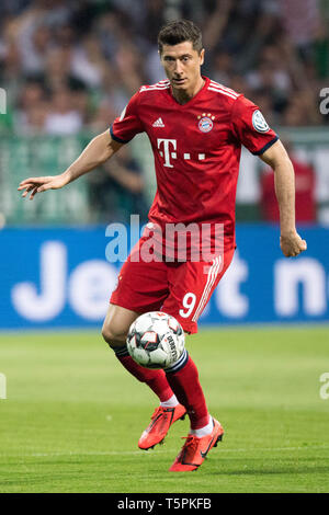 Bremen, Deutschland. 25 Apr, 2019. Robert Lewandowski (M) mit Kugel, Single Action mit Kugel, Aktion, vollständige Abbildung, aufrechte, Fußball DFB-Pokal, Halbfinale, Werder Bremen (HB) - FC Bayern München (M) 2:3, am 24.04.2019 in Bremen/Deutschland, € | Nutzung der weltweiten Kredit: dpa/Alamy leben Nachrichten Stockfoto