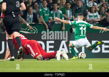 Bremen, Deutschland. 25 Apr, 2019. Milot RASHICA (rechts, HB) mit einem Ziel auf 2:2 für Werder Bremen, Aktion, schießt entzerrt, Fußball DFB-Pokal, Halbfinale, Werder Bremen (HB) - FC Bayern München (M) 2:3, am 24.04 .2019 in Bremen/Deutschland. € | Nutzung der weltweiten Kredit: dpa/Alamy leben Nachrichten Stockfoto