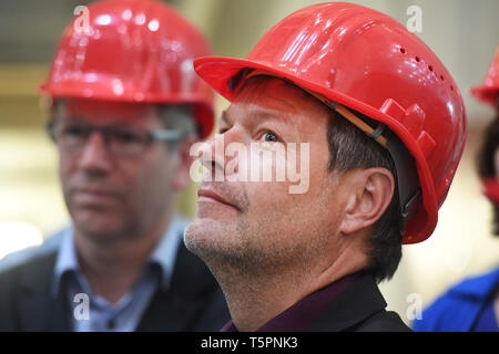 Greifswald, Deutschland. 26 Apr, 2019. Robert Habeck, Bundesvorsitzende von Bündnis 90/Die Grünen sterben, besucht die Kernfusionsforschung facility" Wendelstein 7-X" am Jahrestag der Katastrophe von Tschernobyl. Das Institut mit den fusionsreaktor "Wendelstein 7-X' konzentriert sich auf die Kernfusion als Möglichkeit der Energiegewinnung. Quelle: Stefan Sauer/dpa-Zentralbild/dpa/Alamy leben Nachrichten Stockfoto