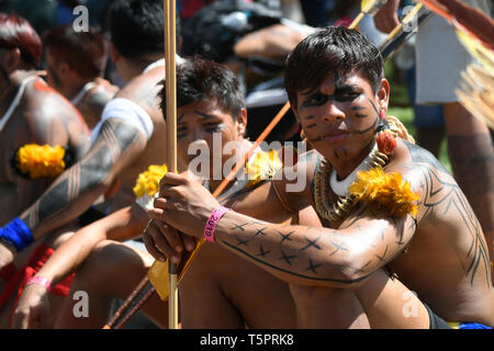 DF-Brasilia - 04/26/2019 - März Indigene - Indigenas beteiligt sich in einem März die Verteidigung der indigenen Land und kulturellen Rechte, die Sie behaupten, von der rechten Regierung von brasilianischen Präsidenten Jair Bolsonaro in Brasilia, Brasilien, am 26. April von Foto bedroht zu werden: Mateus Bonomi/AGIF zu protestieren Stockfoto