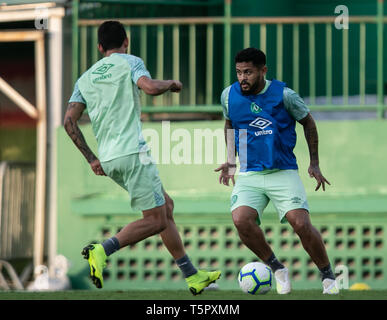 SC-Split - 04/26/2019 - Chapecoense Schulung - Roberto während des Trainings im Arena Cond Foto: Matheus Sebenello/AGIF Stockfoto