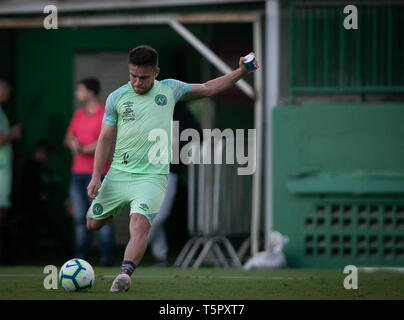 SC-Split - 04/26/2019 - Ausbildung - Chapecoense Orzusa während des Trainings im Arena Cond Foto: Matheus Sebenello/AGIF Stockfoto