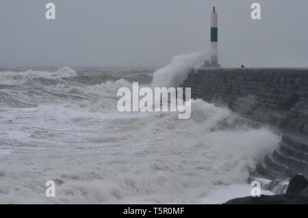 Aberystwyth, Ceredigion Wales UK Samstag, 27. April 2019 UK Wetter: Sturm Hannah zerschlägt Aberystwyth mit starken Winde bei über 60 km/h wehen. Eine gelbe Warnmeldung für Wind wurde von der Met Office wurde für viel der UK für heute Foto © Keith Morris/Alamy Live Neuigkeiten Stockfoto