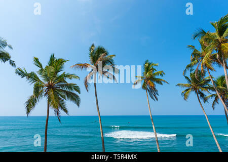 Tropischen Palmen über den blauen ruhigen Ozean auf der tropischen Insel am sonnigen klaren Sommer Tag Stockfoto