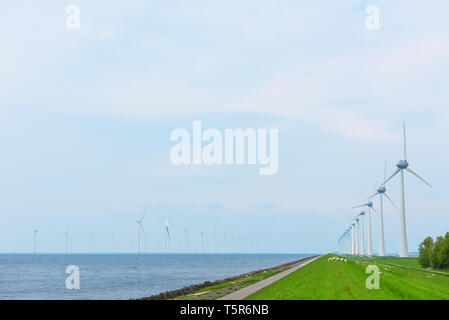 Wind Farm in Niederlande Stockfoto