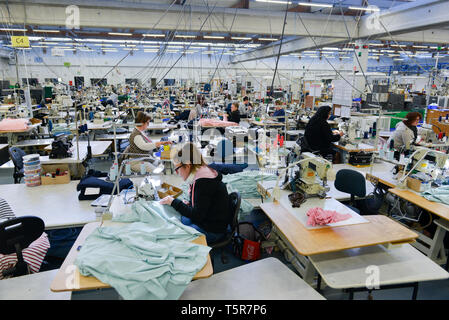 Trikots Saint James Textilfabrik in Saint-James (Normandie, Frankreich), die traditionellen sailor Jersey und Breton gestreiften Hemd (Französisch "Mar Stockfoto