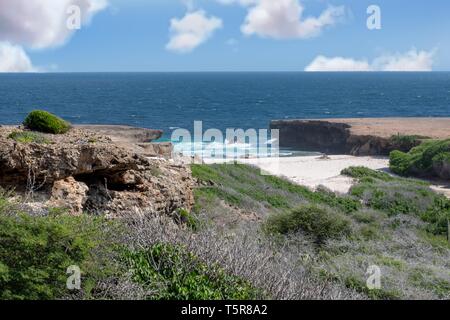 Shoreline Aruba in der Karibik Stockfoto