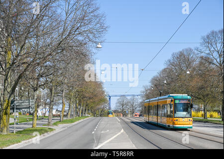 Straßenbahn auf der südlichen Promenade im Frühjahr in Norrköping. Die gelbe Straßenbahnen sind ikonisch für Norrköping. Stockfoto